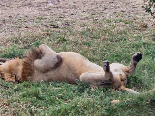 Guide Reagan-奈瓦夏必去景点
