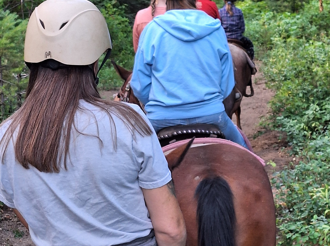 Ya-Hoo Corrals-McCall必去景点