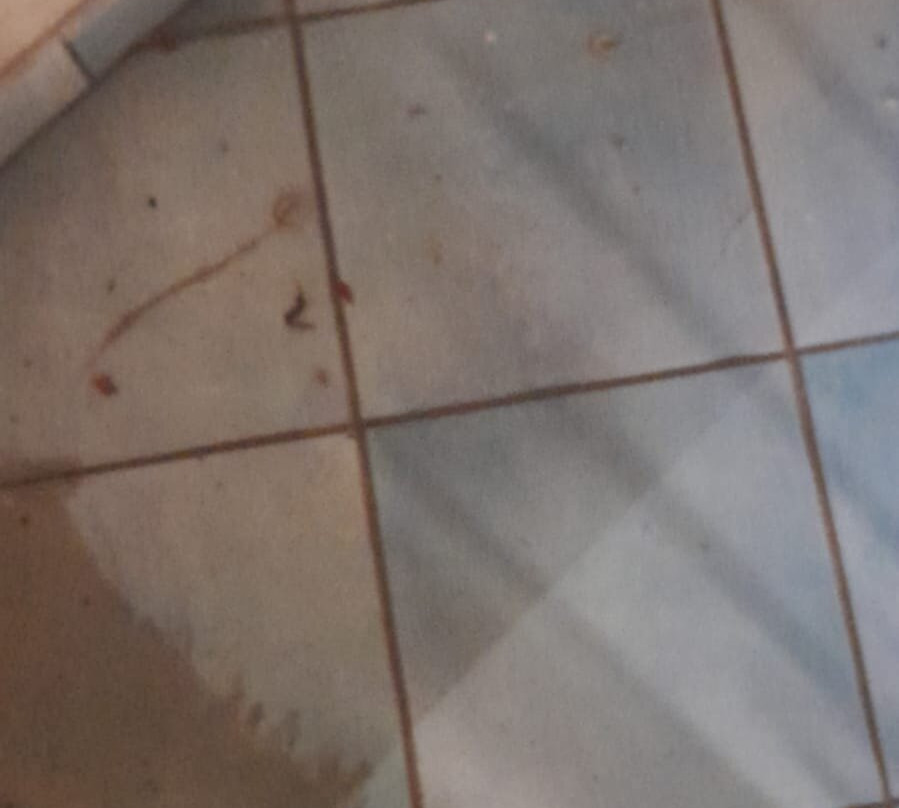 Villa Luisa Hotel主图