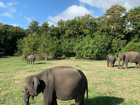 Pawara Lanka Tours-加勒必去景点