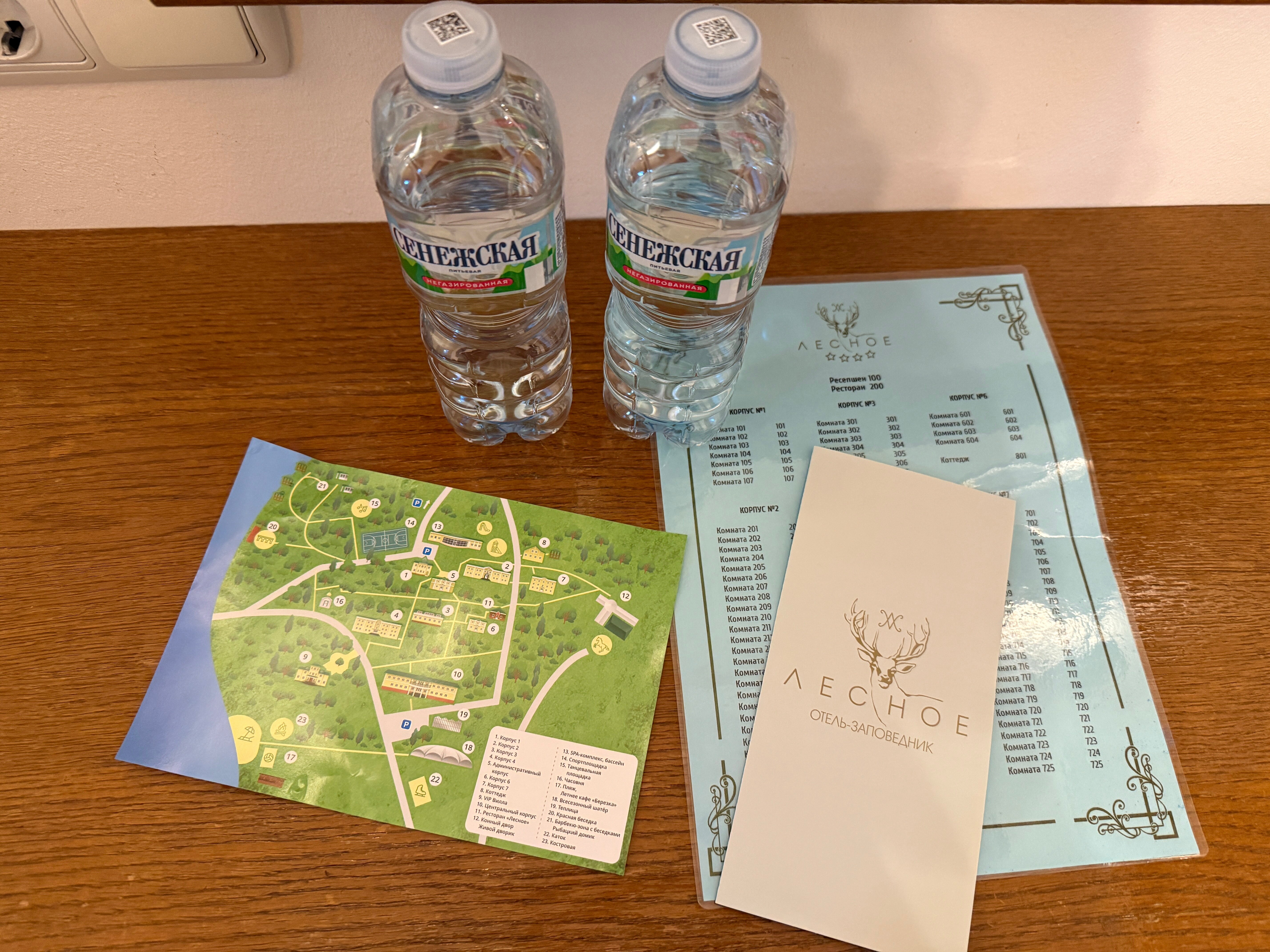 Lesnoe Forest Resort-客卧