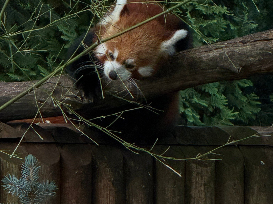Zoo & Botanical Garden-托伦古镇必去景点