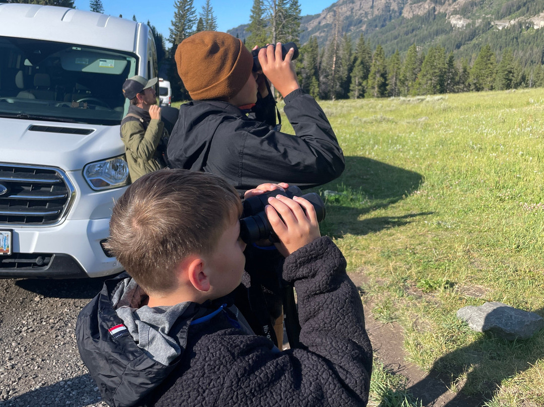 Yellowstone Wild-加德纳必去景点