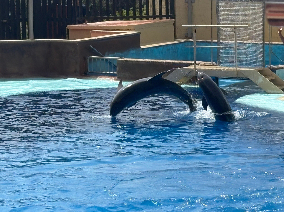 Marineland Catalunya-Palafolls必去景点