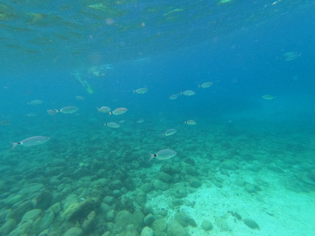 Cala El Raco-卡尔佩必去景点