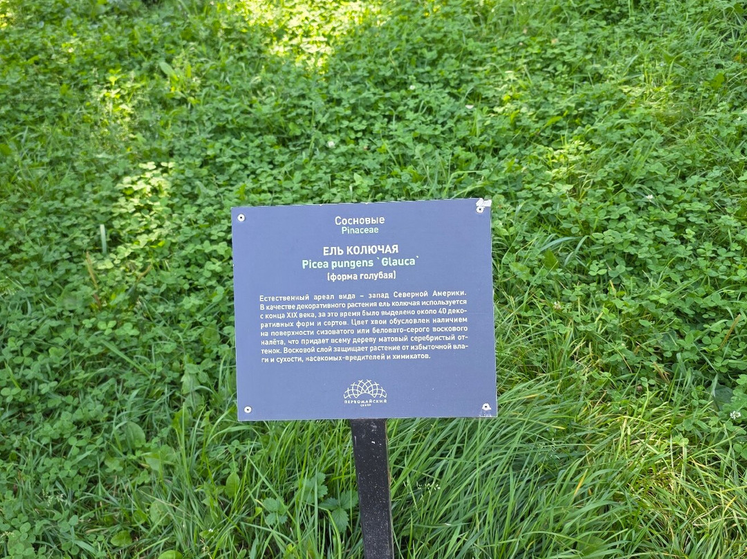 Pervomaiskiy Garden-新西伯利亚必去景点