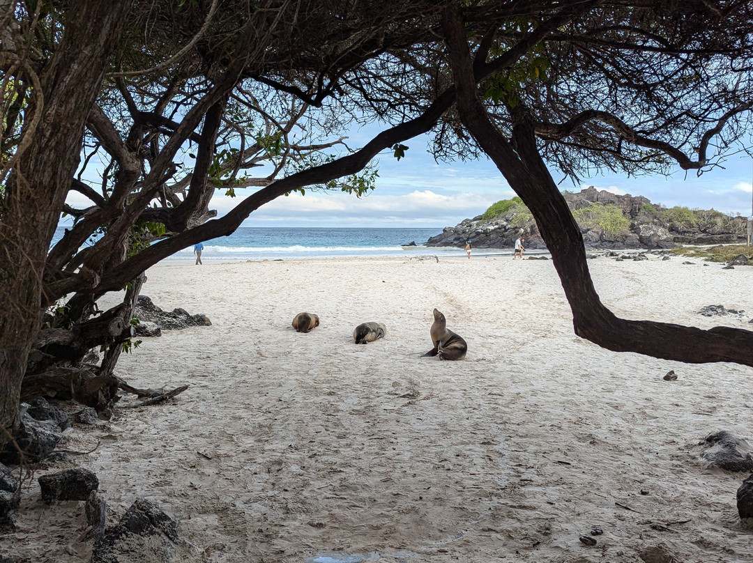 Puerto Chino Beach-圣克里斯托瓦尔必去景点