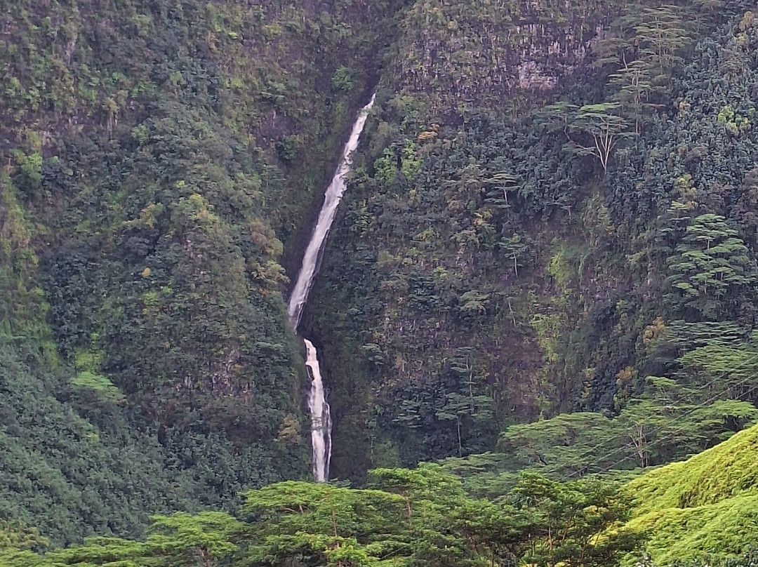 Mate Excursions-Taiohae必去景点
