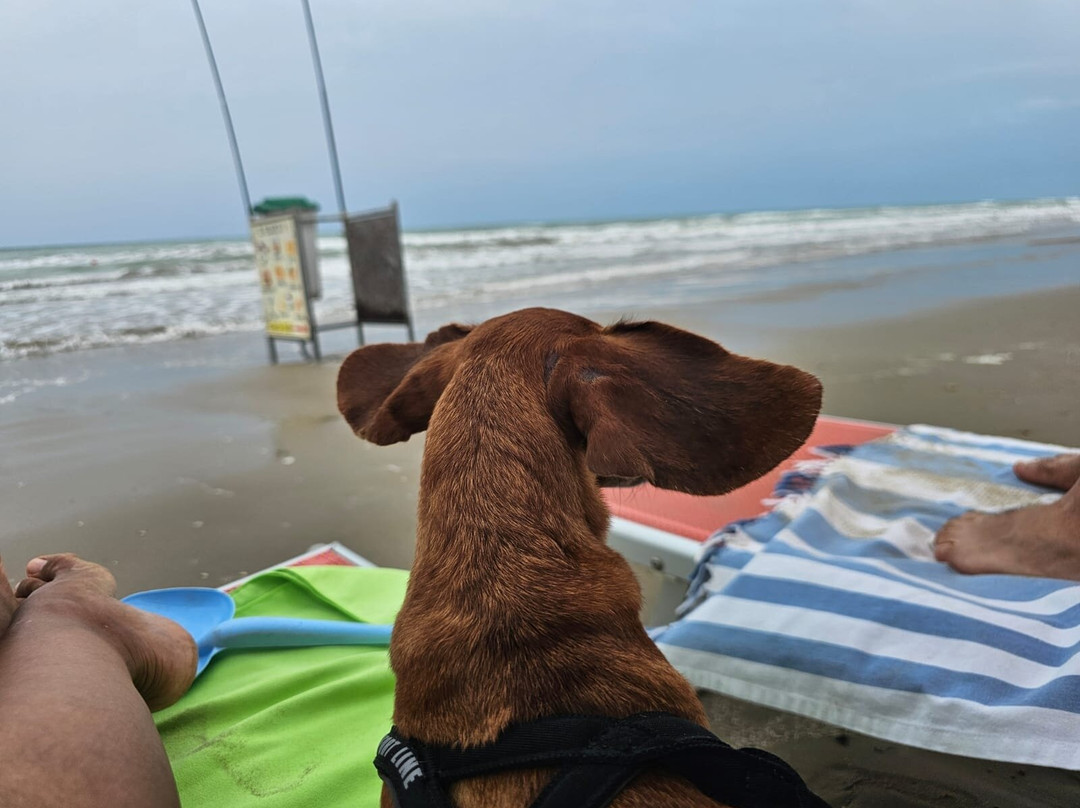 Bagni Blasco119-塞尼加利亚必去景点