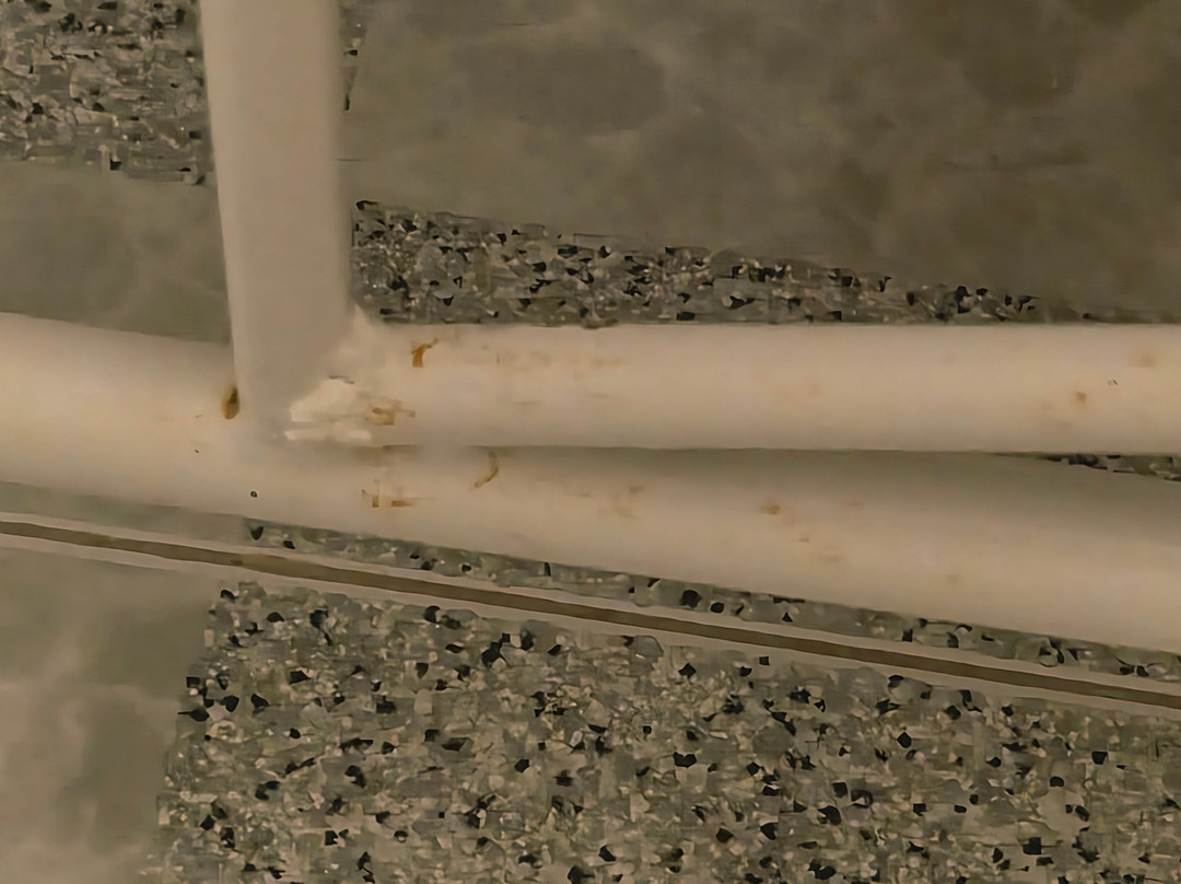 米哈利斯别墅主图