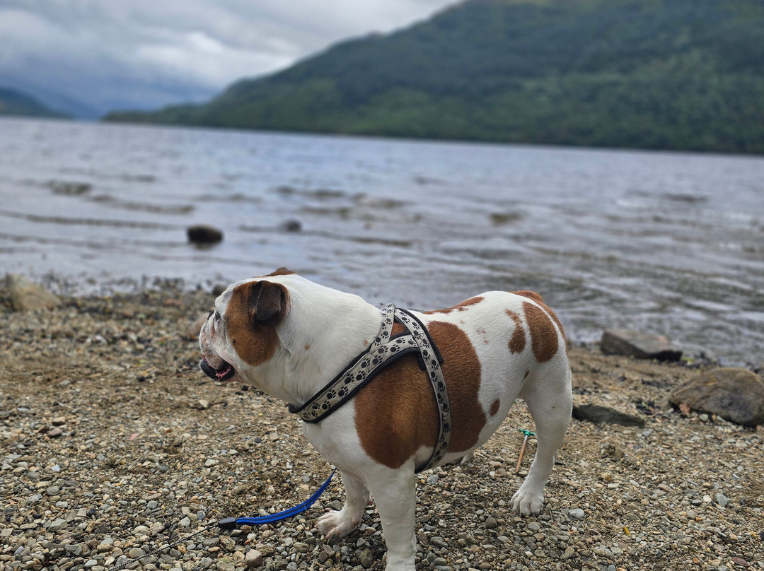 Firkin Point Scenic View-Inverbeg必去景点