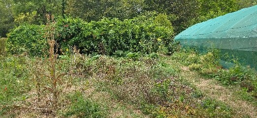 Alaije-Brantome en Perigord City必去景点