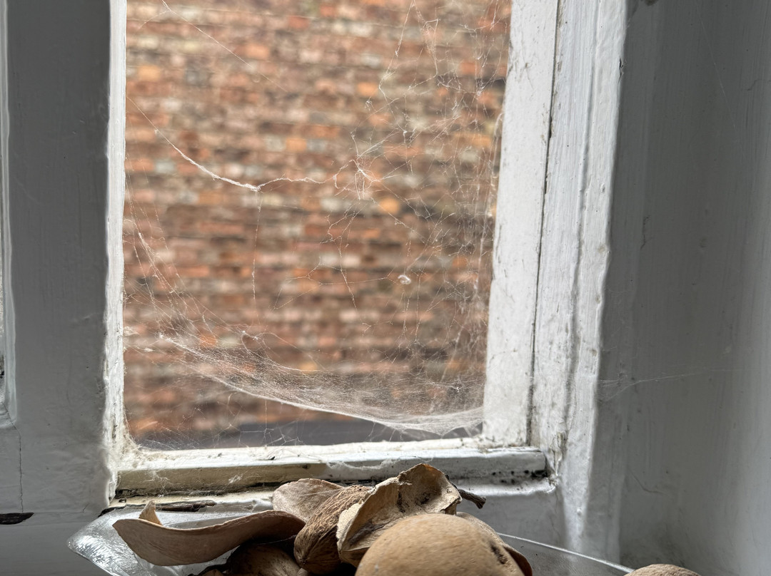 The Bull Hotel主图