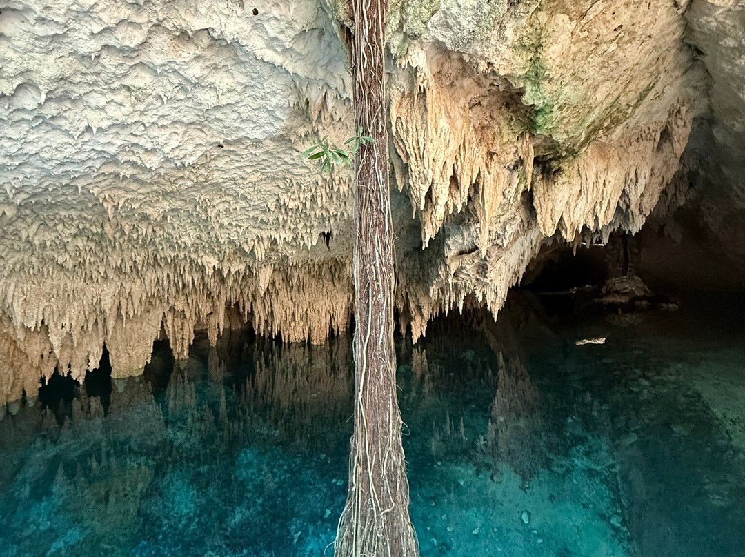 Mandala Divers and Tours-普拉亚德尔卡曼必去景点