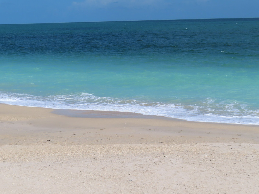 Jaycee Park-维罗海滩必去景点