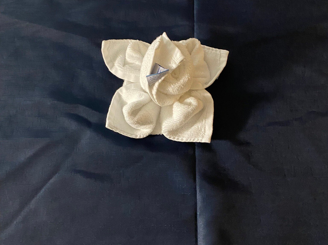 Best Western University Inn主图