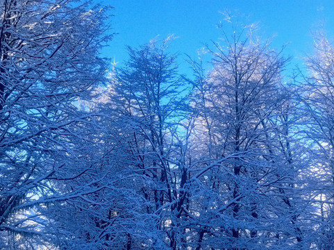 Piedras Blancas-圣卡洛斯-德巴里洛切必去景点