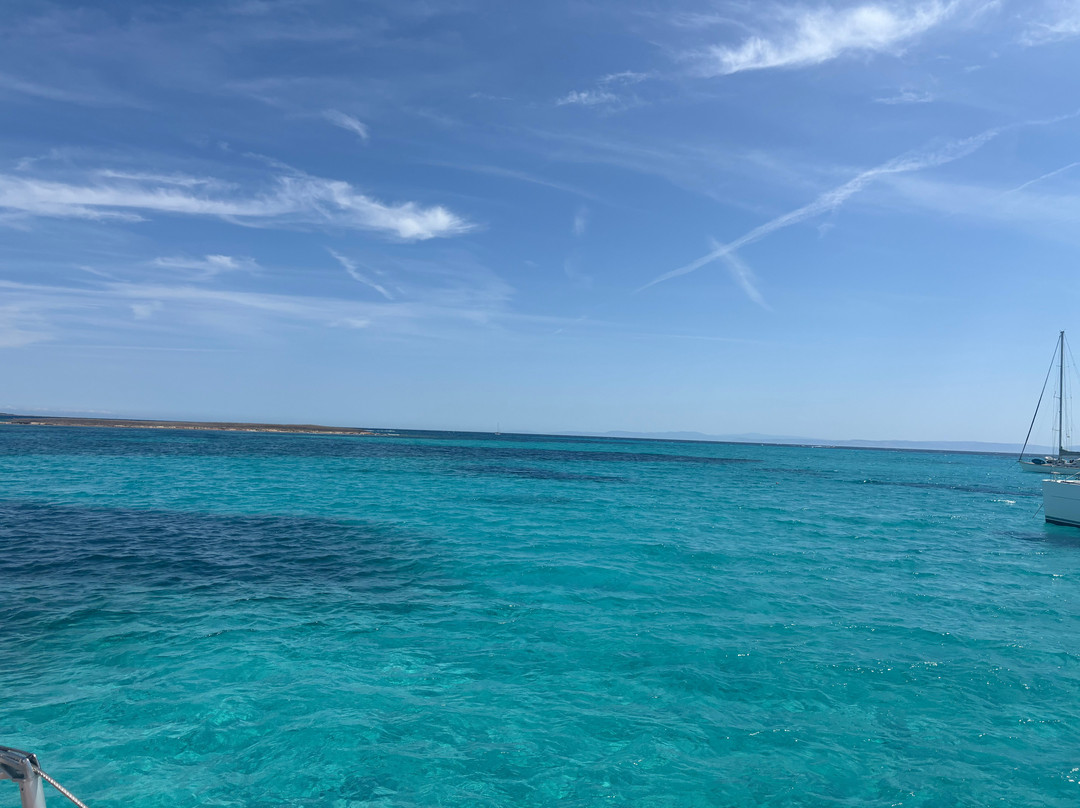 Escursioni Alghero Asinara-阿尔盖罗必去景点