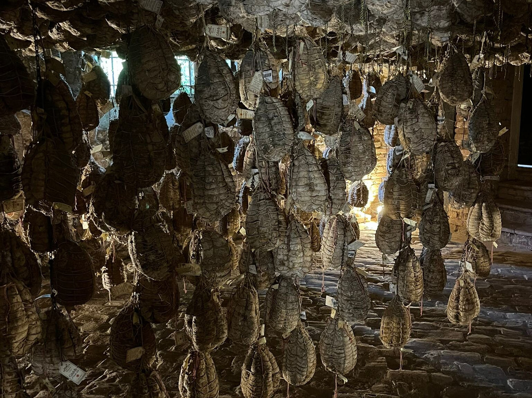 Museo Del Culatello-Polesine Parmense必去景点