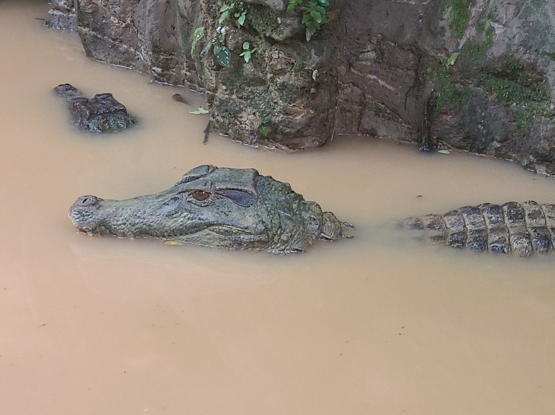 Akangau Jungle Tours-Tena必去景点