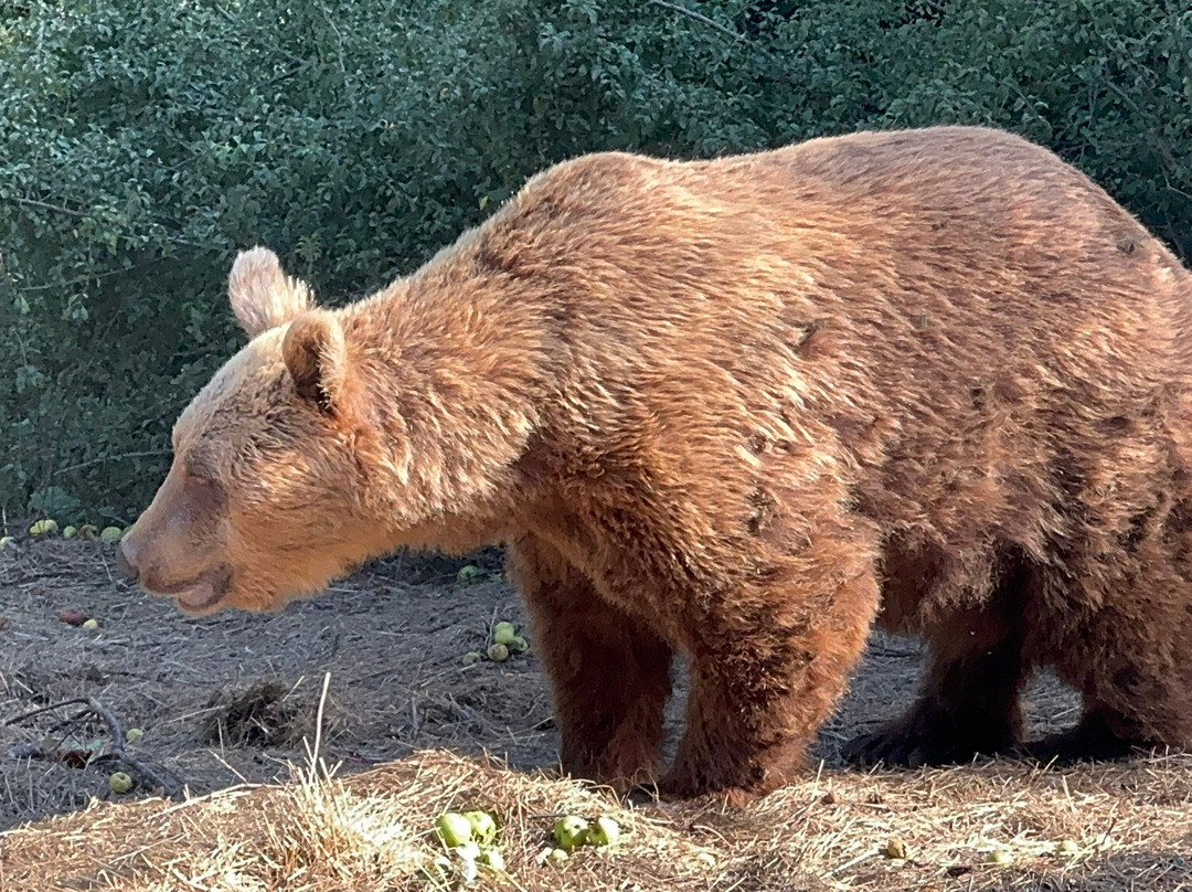 Velebit Association Kuterevo-Kuterevo必去景点