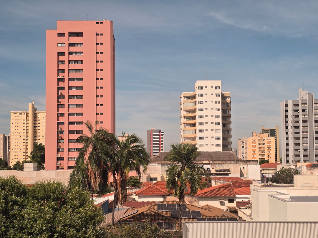 Aracatuba Plaza Hotel主图