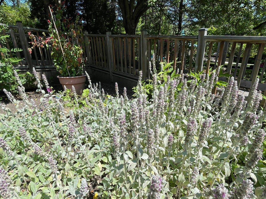 New Brunswick Botanical Garden-埃德蒙兹顿必去景点