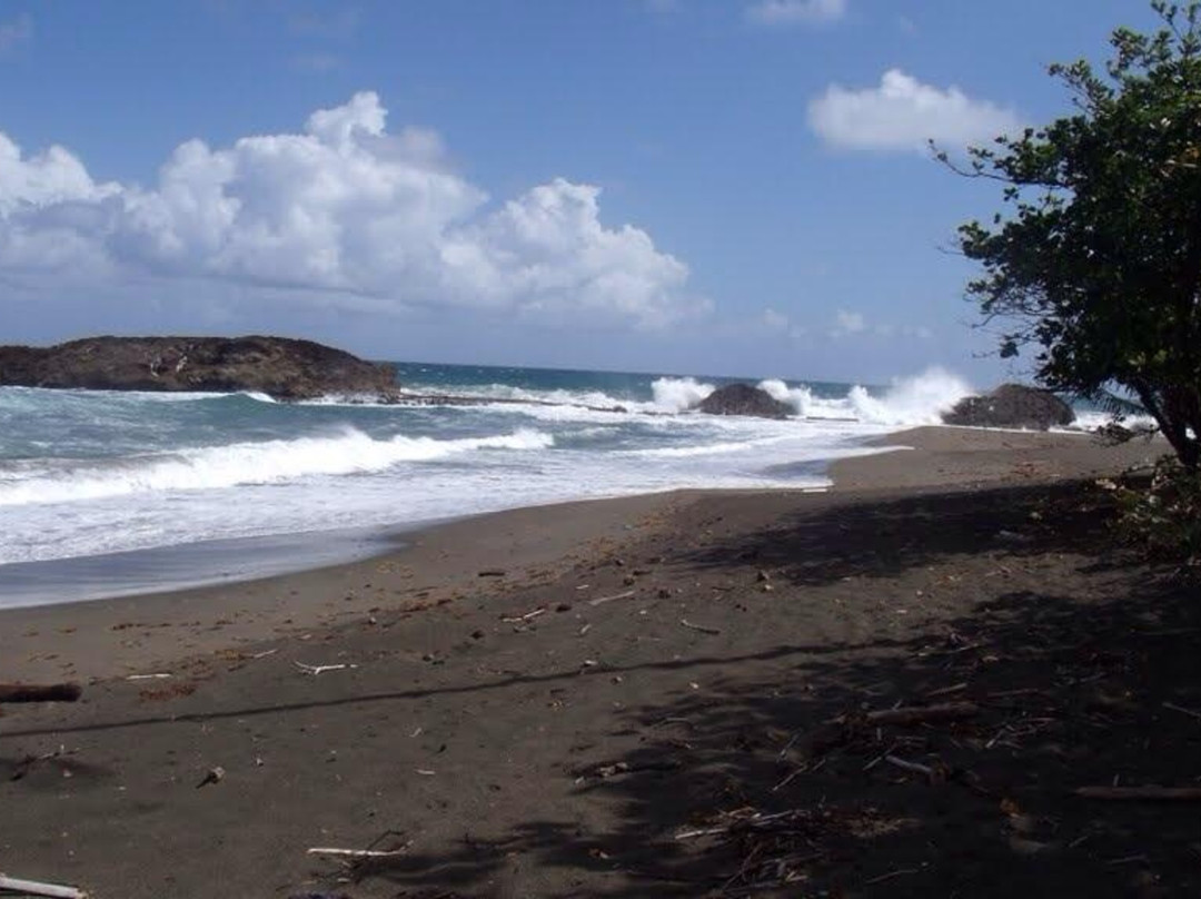 巴塞罗那塔旅游攻略图片