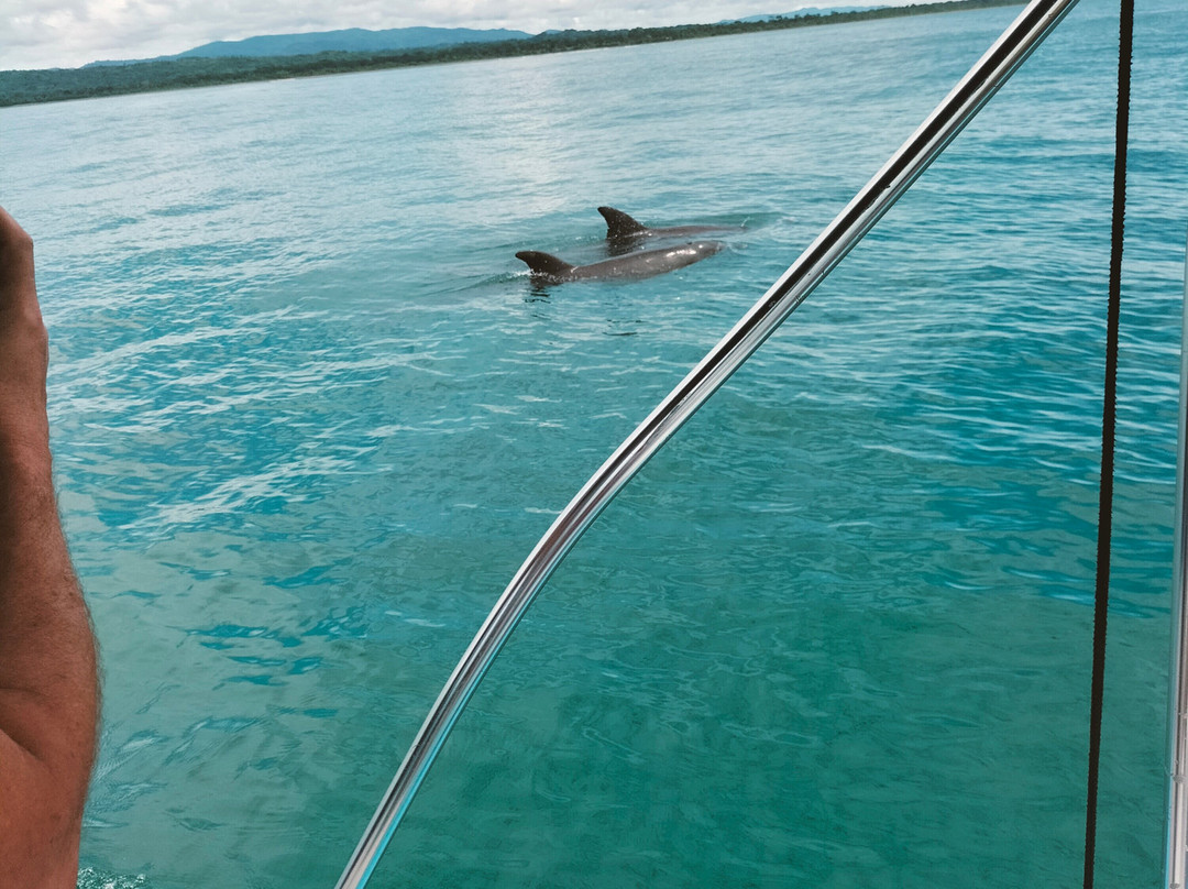 Changing Tide Tours-希门尼斯港必去景点