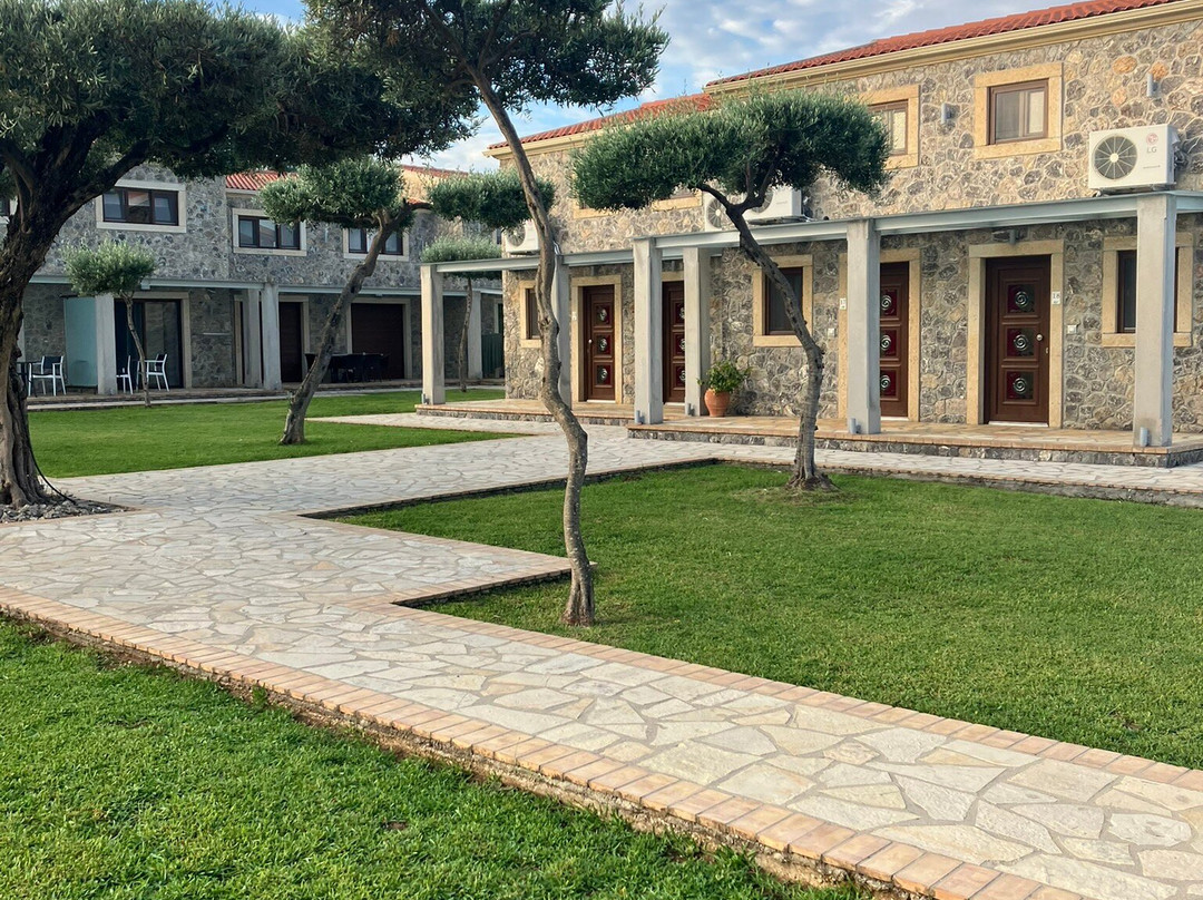 Bostonia Village主图