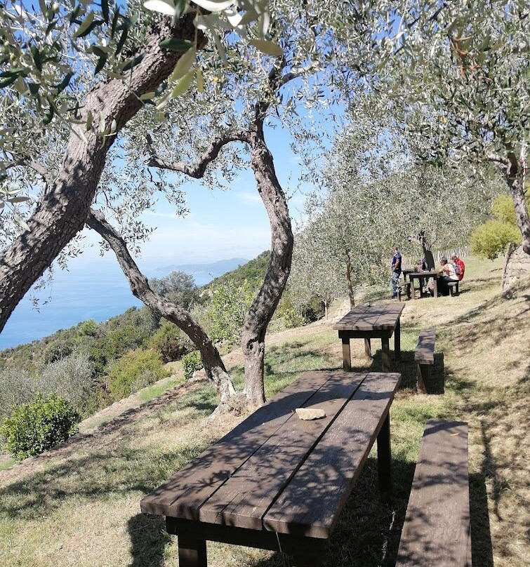 Podere Case Lovara-莱万托必去景点