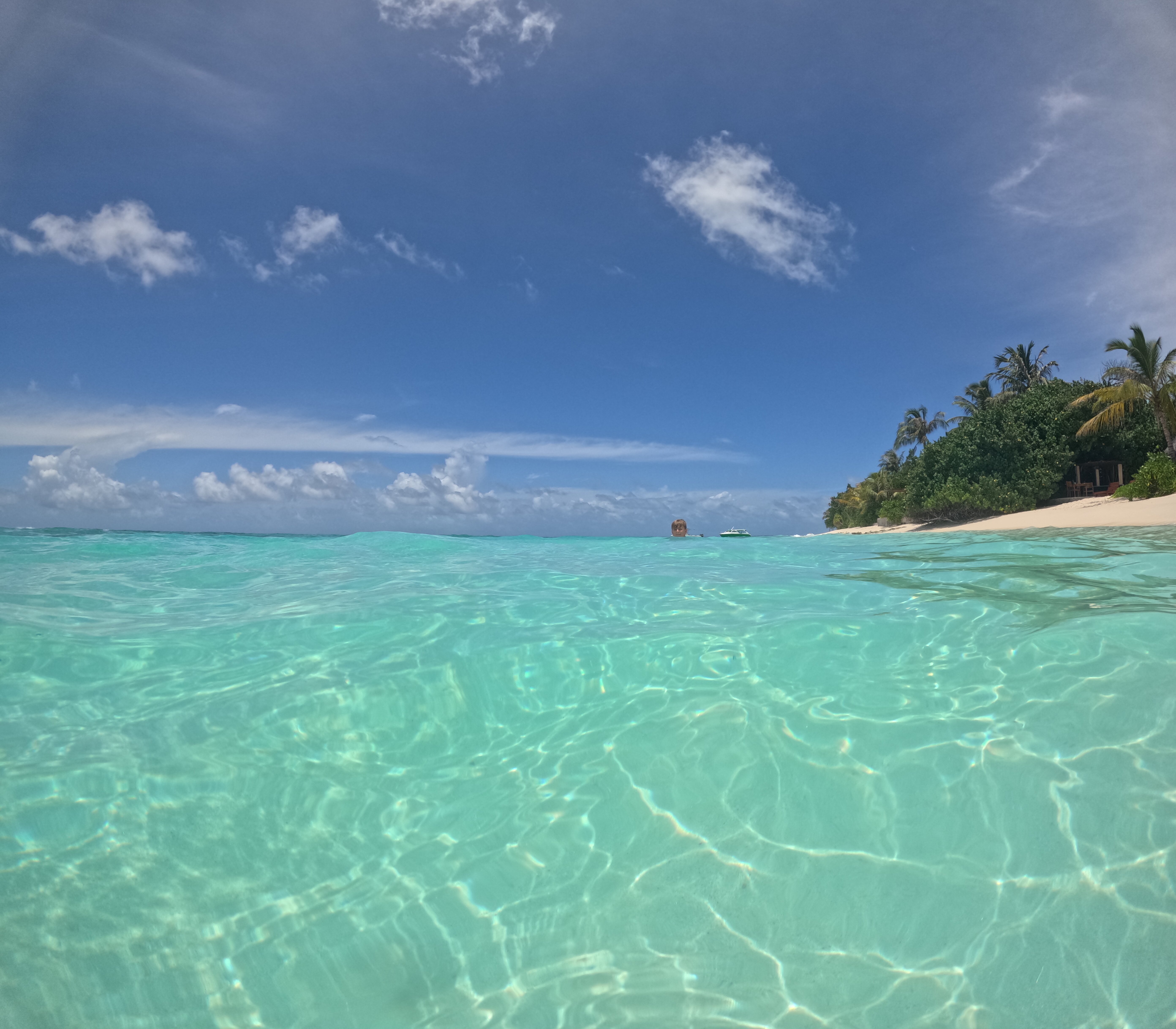 柯可棕榈杜妮科酒店-泳池
