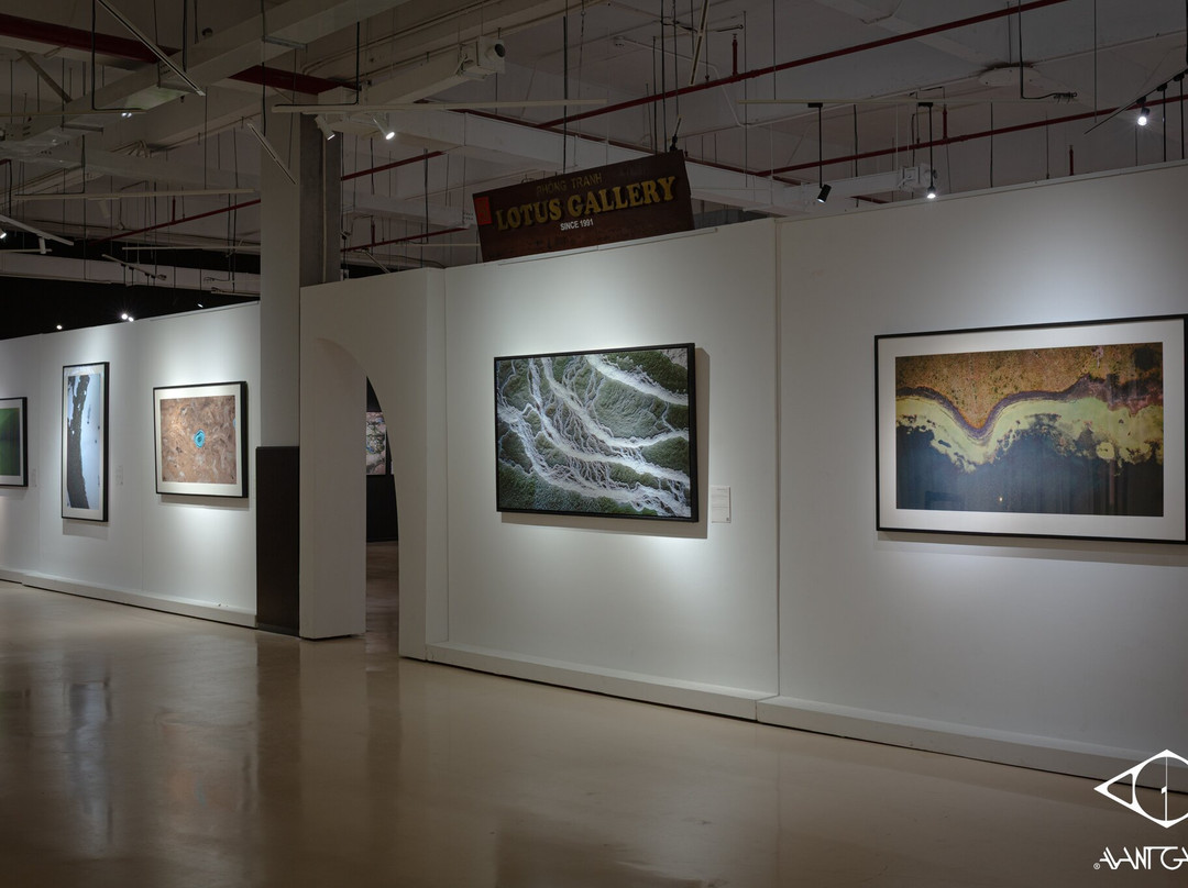 Lotus Gallery-胡志明市必去景点