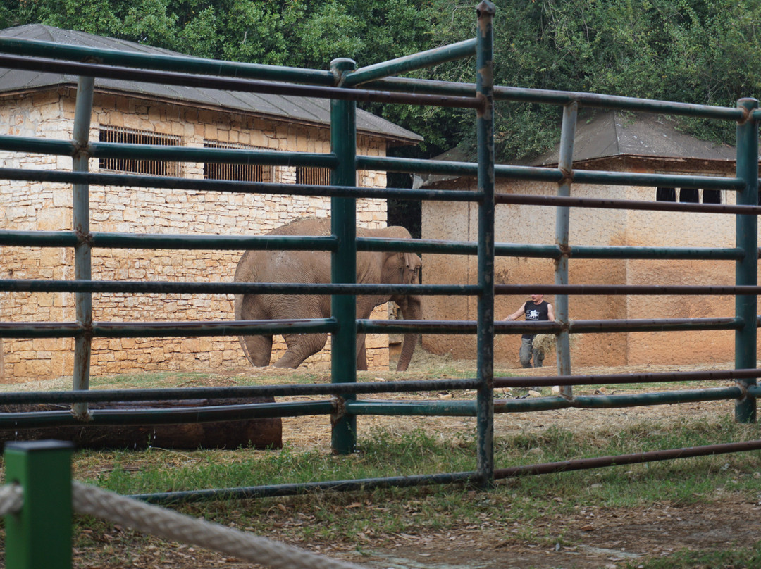 Safari Park-Brijuni National Park必去景点