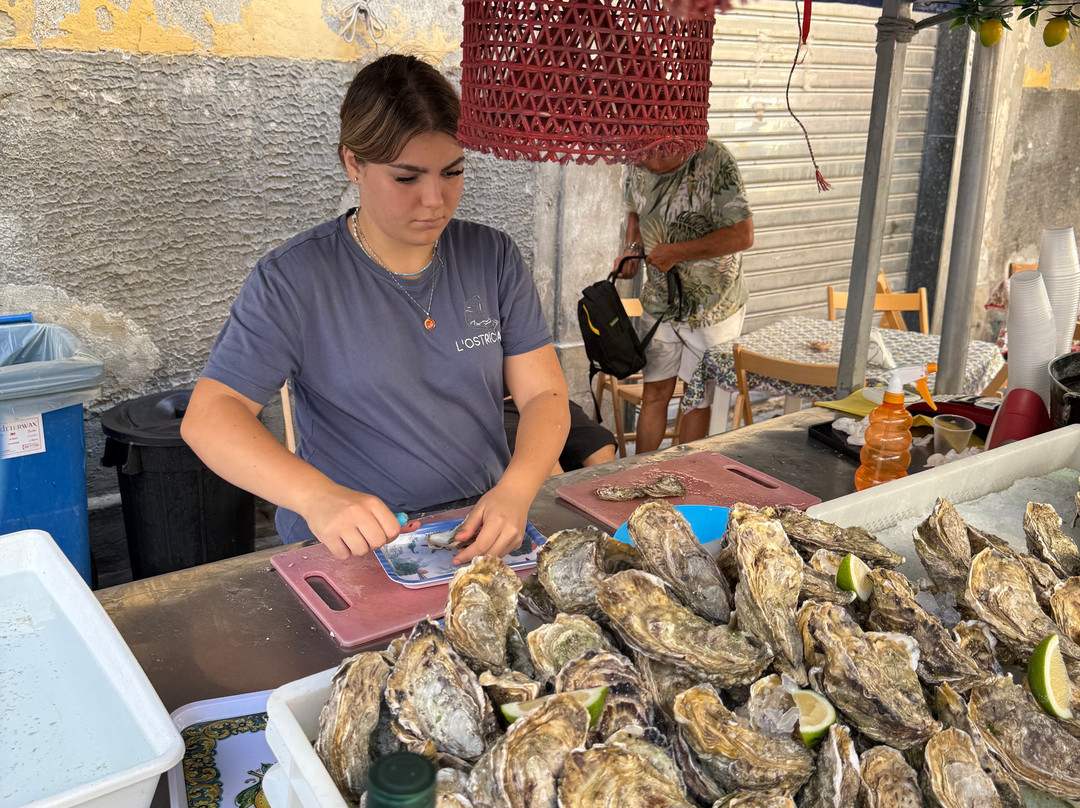 Sicily Blues Tours - Day Tours-阿格里真托必去景点
