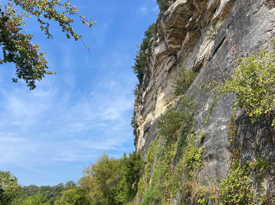 School House Bed & Breakfast主图