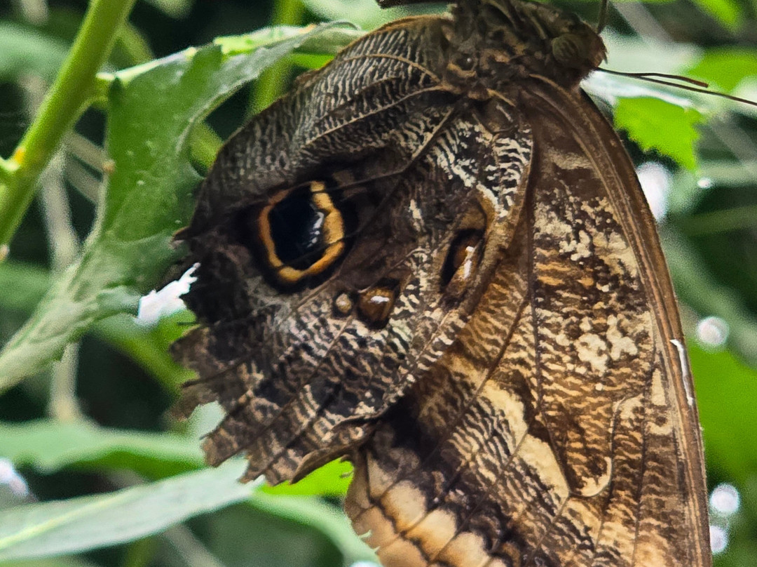 常青食宿酒店主图