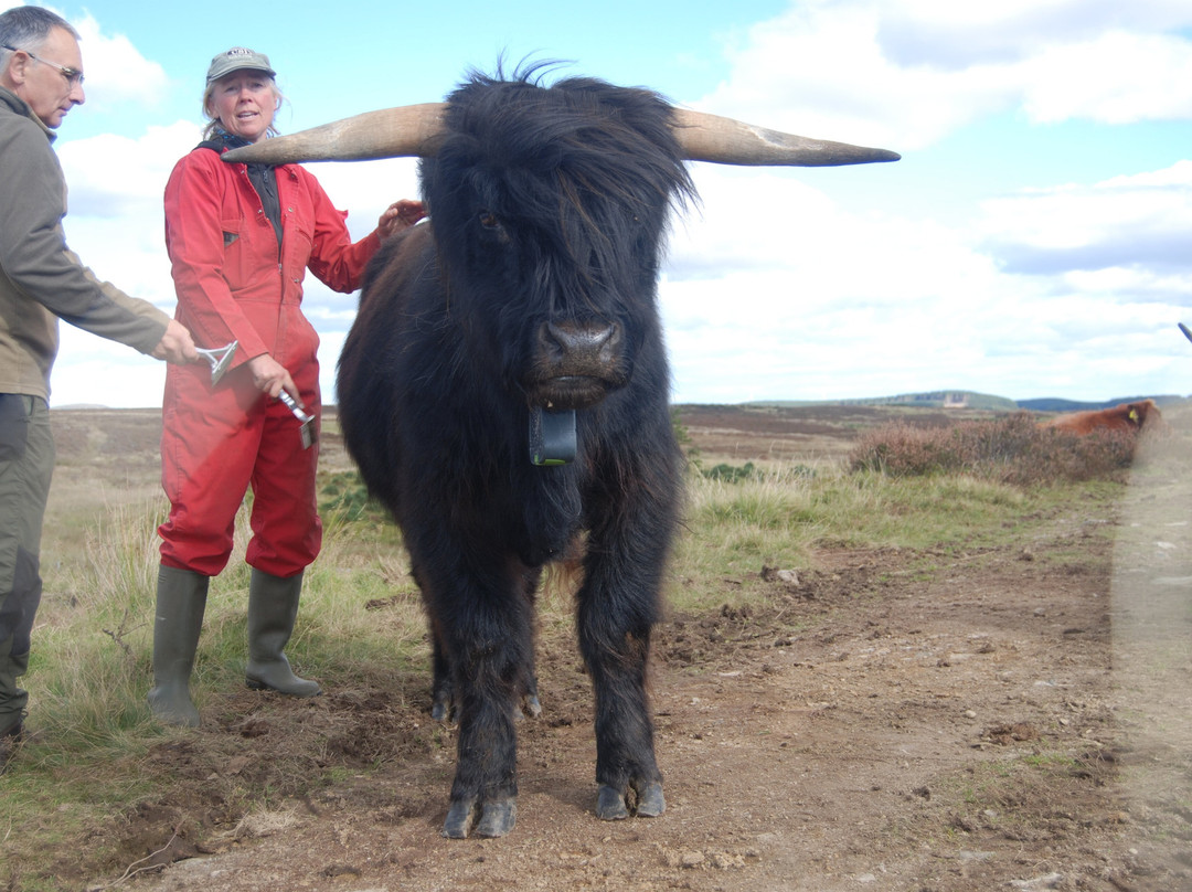 Bowland Trails-Blairgowrie必去景点