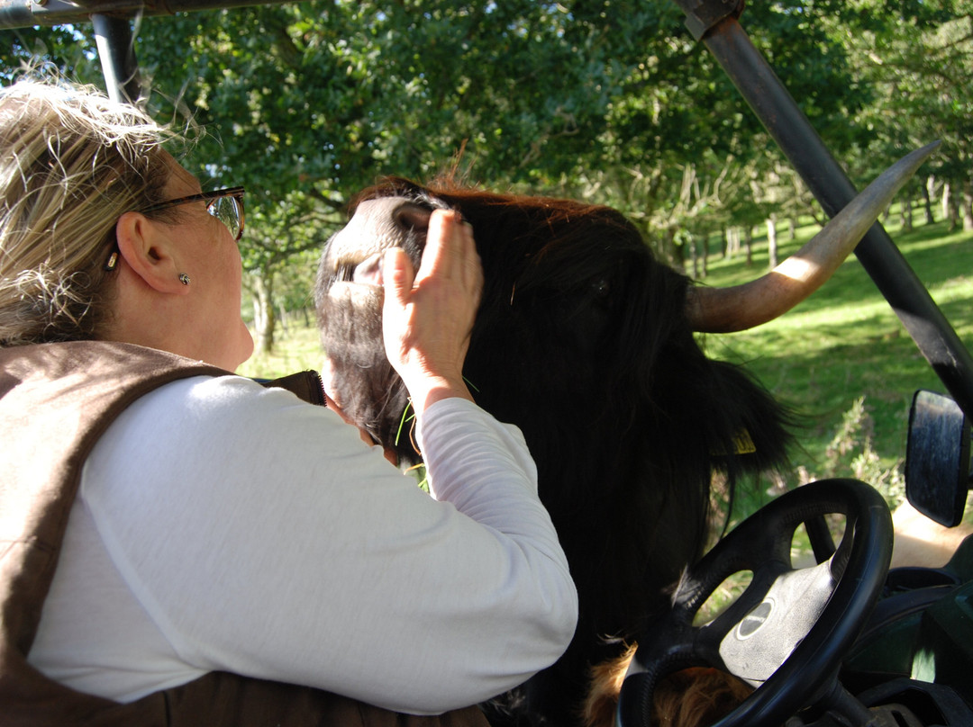 Bowland Trails-Blairgowrie必去景点
