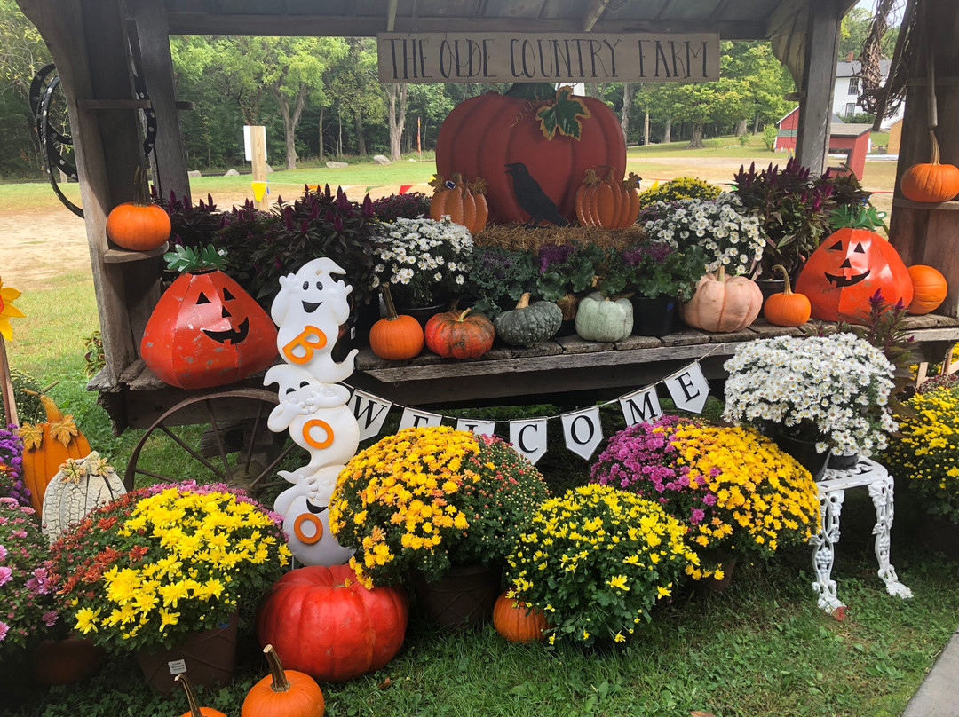 Verhage Fruit Farm & Cider Mill-卡拉马祖县必去景点