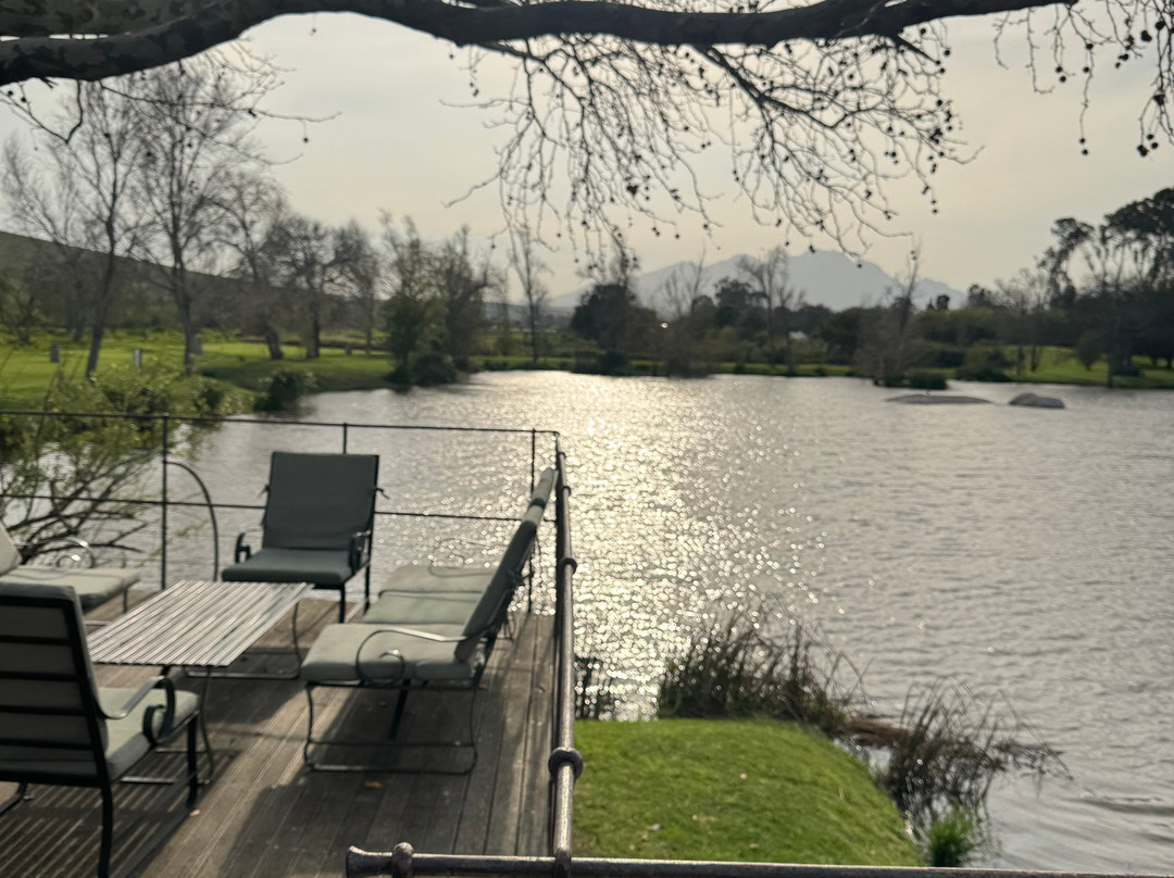 Segway Vineyard Tours-斯泰伦博斯必去景点