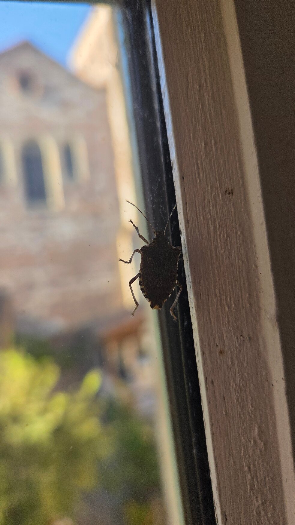 Hotel Jean XXII-官方