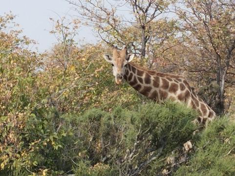 Bluecrane Safaris Namibia-温德和克必去景点