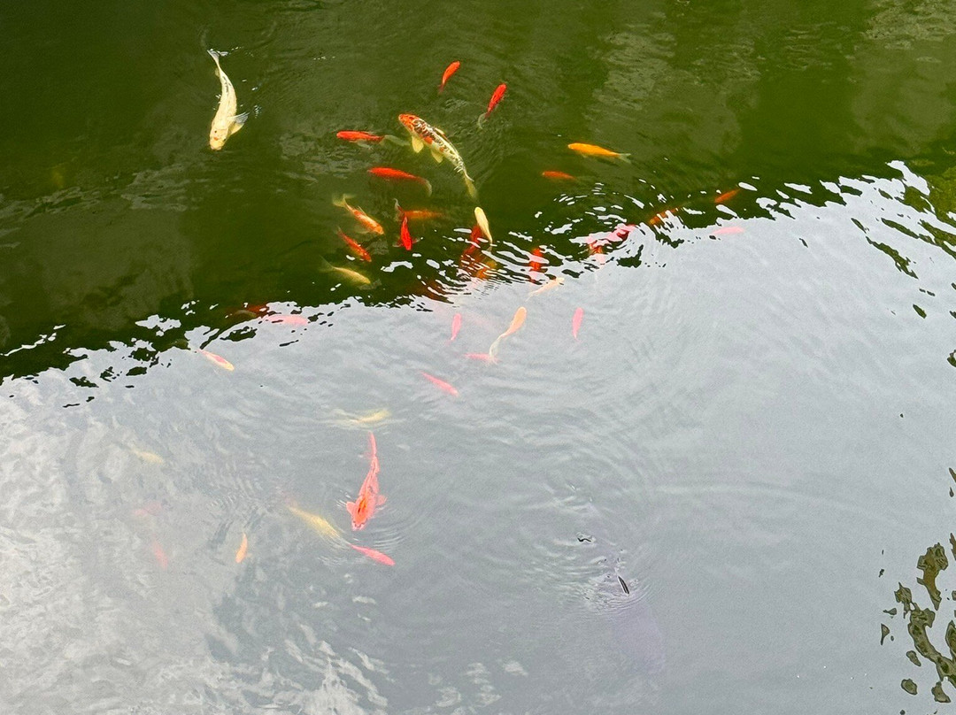 Parc Du Château-坡市必去景点