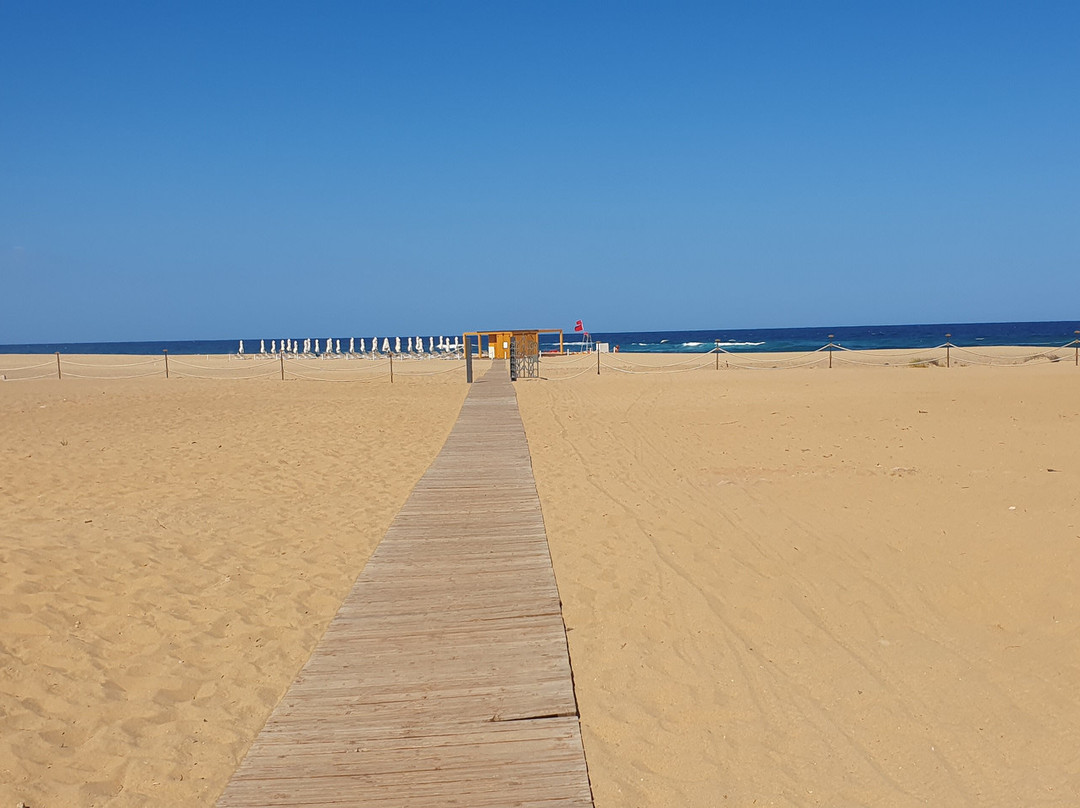 Hotel Le Dune Piscinas主图