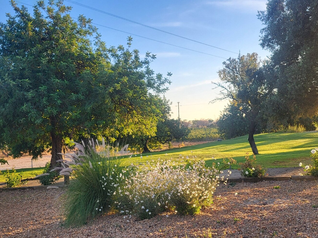 Quinta Do Canhoto-阿尔布赞拉必去景点