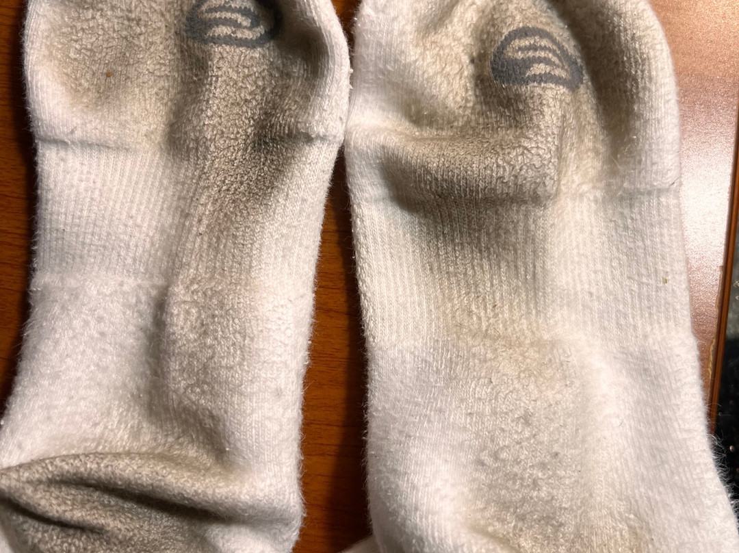 Penn Wells Lodge主图