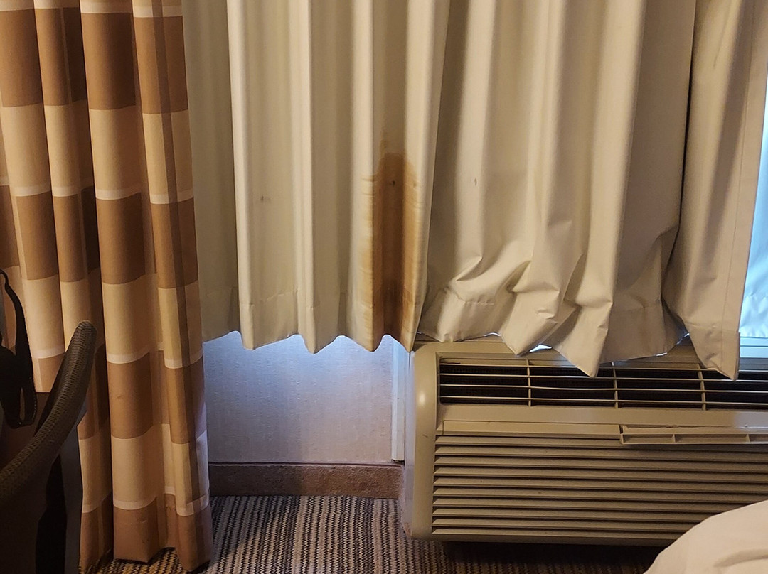 Microtel Inn & Suites by Wyndham Opelika主图