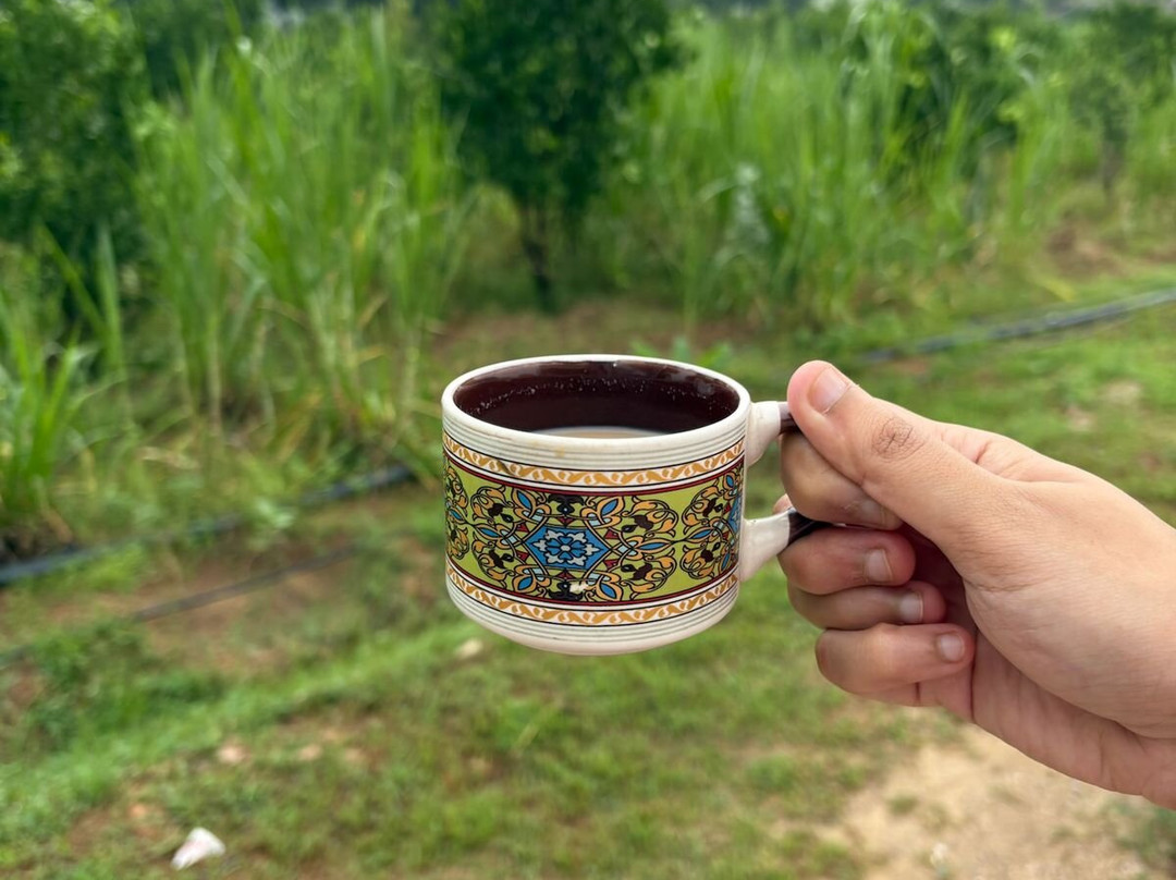 Amrai By Kivaara-Kishangarh必去景点