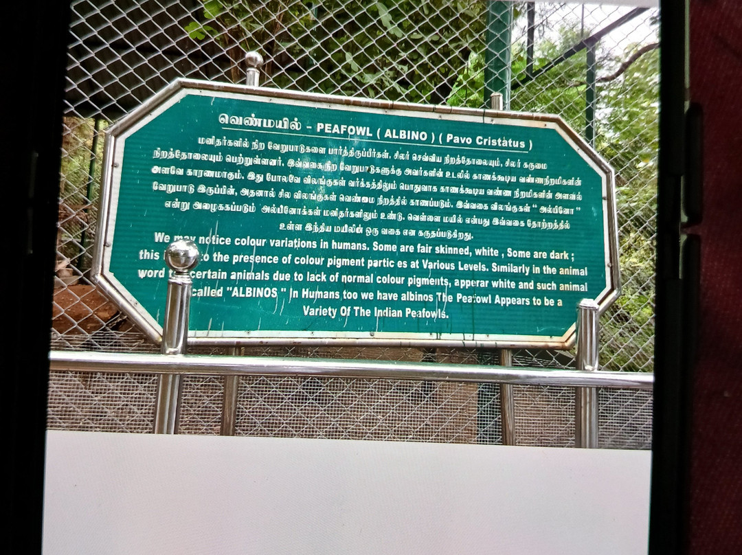 Kurumpapatti Zoological Park-Salem必去景点